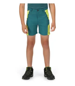 Discount SORCER II - Korte Broek - Groen Kinderen Broeken & Shorts