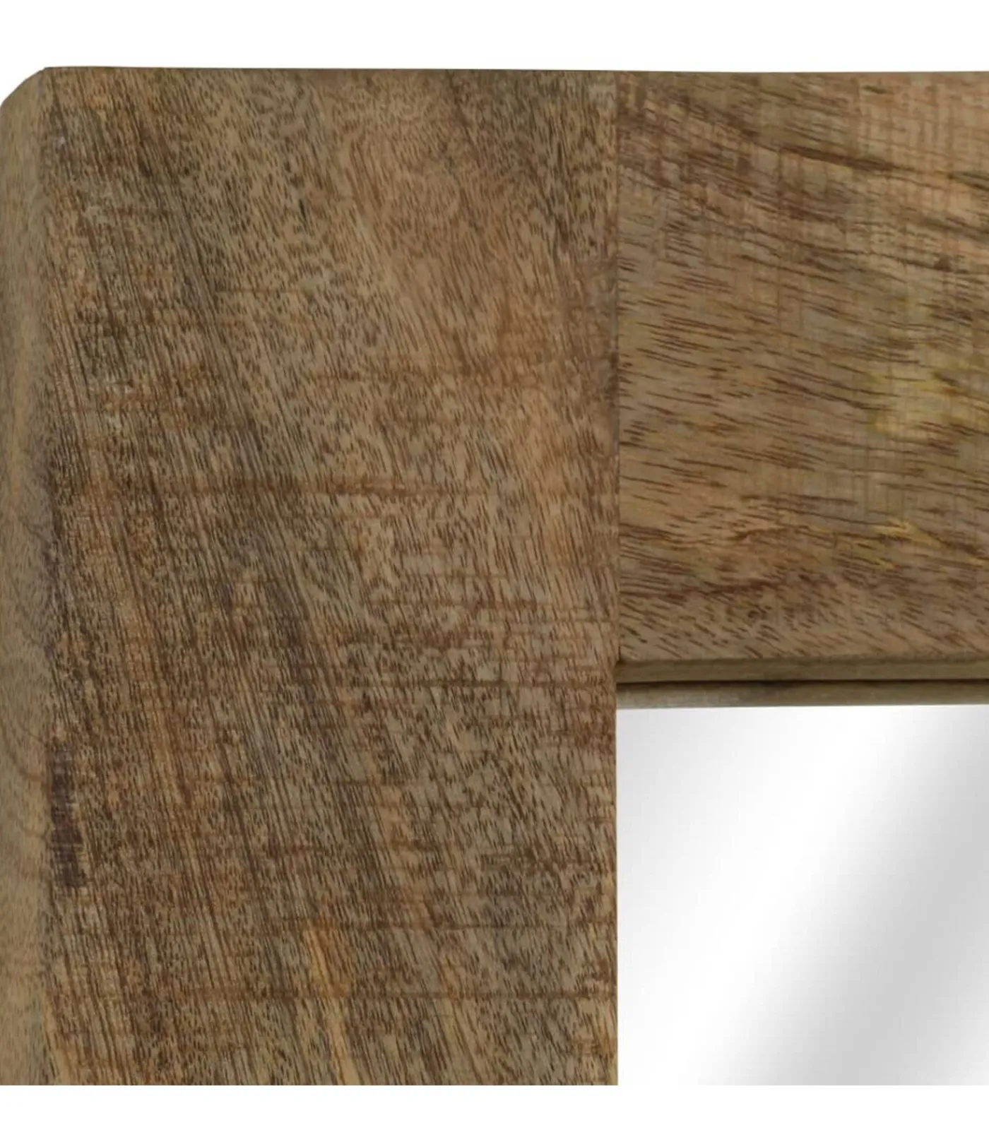vidaXL Spiegel 50x110 cm massief mangohout