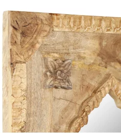 Hot Spiegel 50x3x110 cm massief mangohout Spiegels