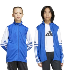 Kinderen Adidas Sportswear Sq25 Tr Jkt Y