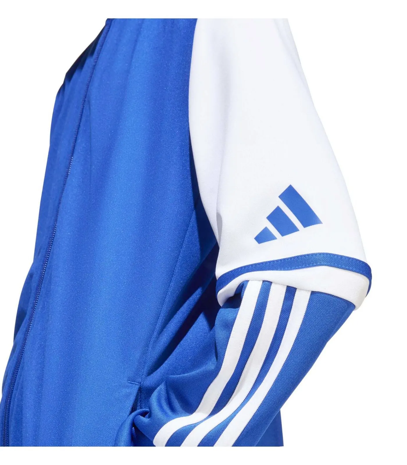 Kinderen Adidas Sportswear Sq25 Tr Jkt Y