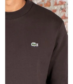 New Sweater core - port Heren Truien & Cardigans