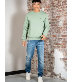 Heren LACOSTE Sweater core - thyme