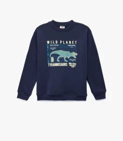 Sweatshirt Kind Ronde Hals Dino Print Blauw Kinderen Truien & Vesten