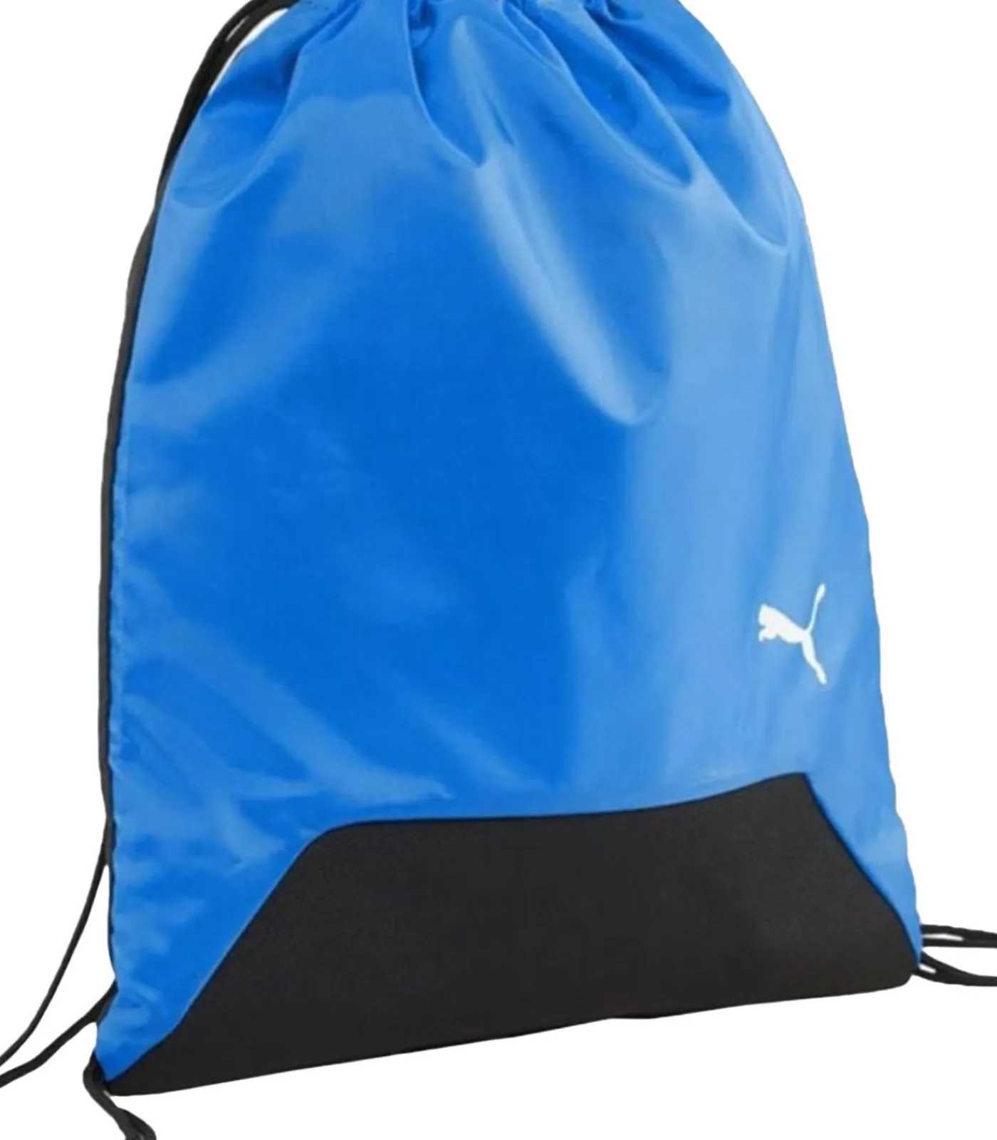 PUMA TEAM GOAL - Schoenentas - Blauw