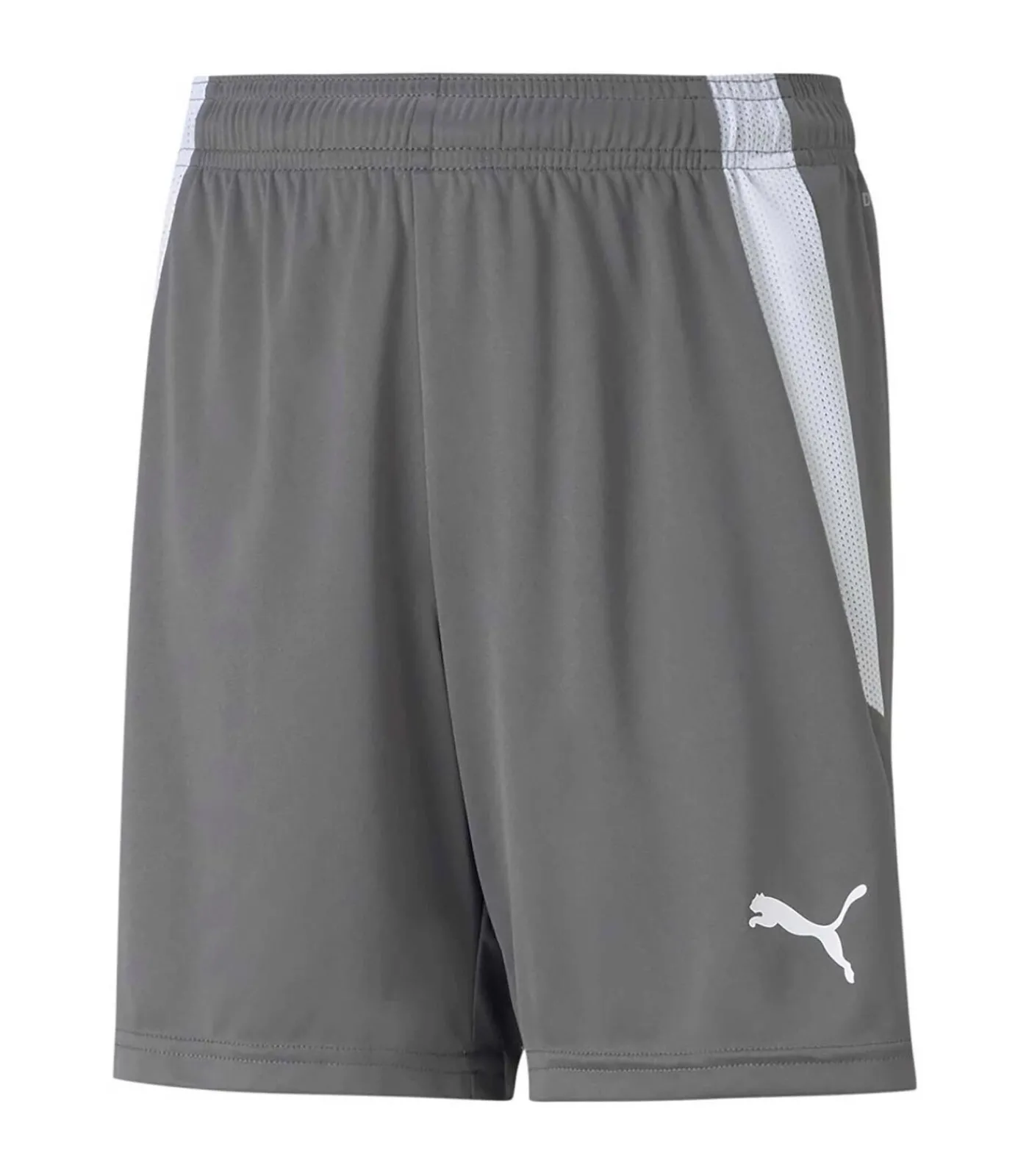 Kinderen PUMA Teamliga Shorts Jr