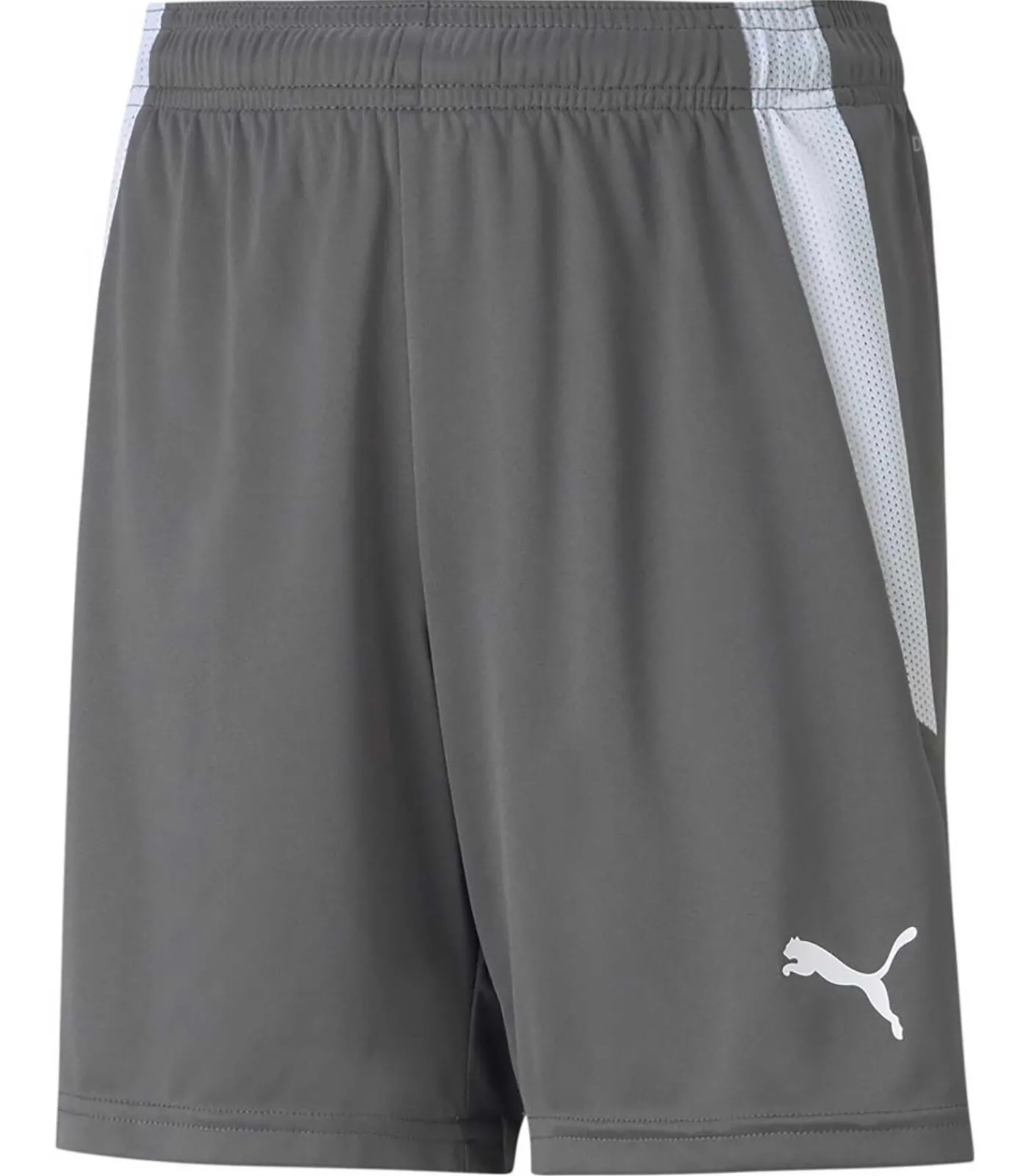 Kinderen PUMA Teamliga Shorts Jr
