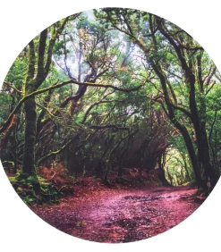 Discount speelmat bos ontdekking - sensorisch speelkleed polyester Kinderen Speelgoed