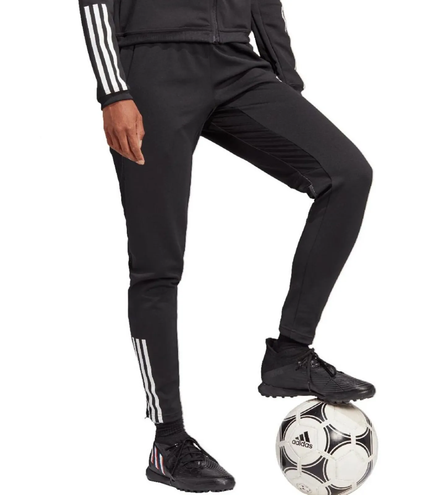 Discount TIRO 23 COMPETITION TRAINING - Joggingbroek - Zwart DAMES Sportkledij