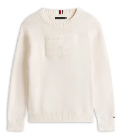 Kinderen Tommy Hilfiger Tommy Script Flag Tonal Sweate