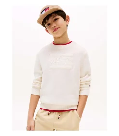 Kinderen Tommy Hilfiger Tommy Script Flag Tonal Sweate