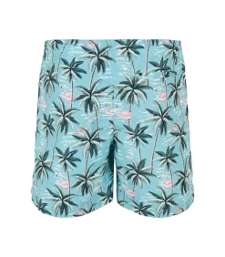 Heren Urban Classics TROPICAL BIRDS - Zwembroek - Blauw