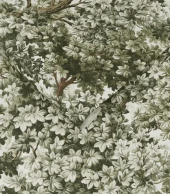 Graham & Brown Vliesbehang Coppice Sage