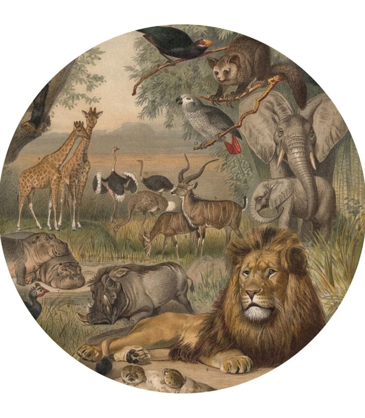 New Behangcirkel Animals of Africa 190 cm Decoratie