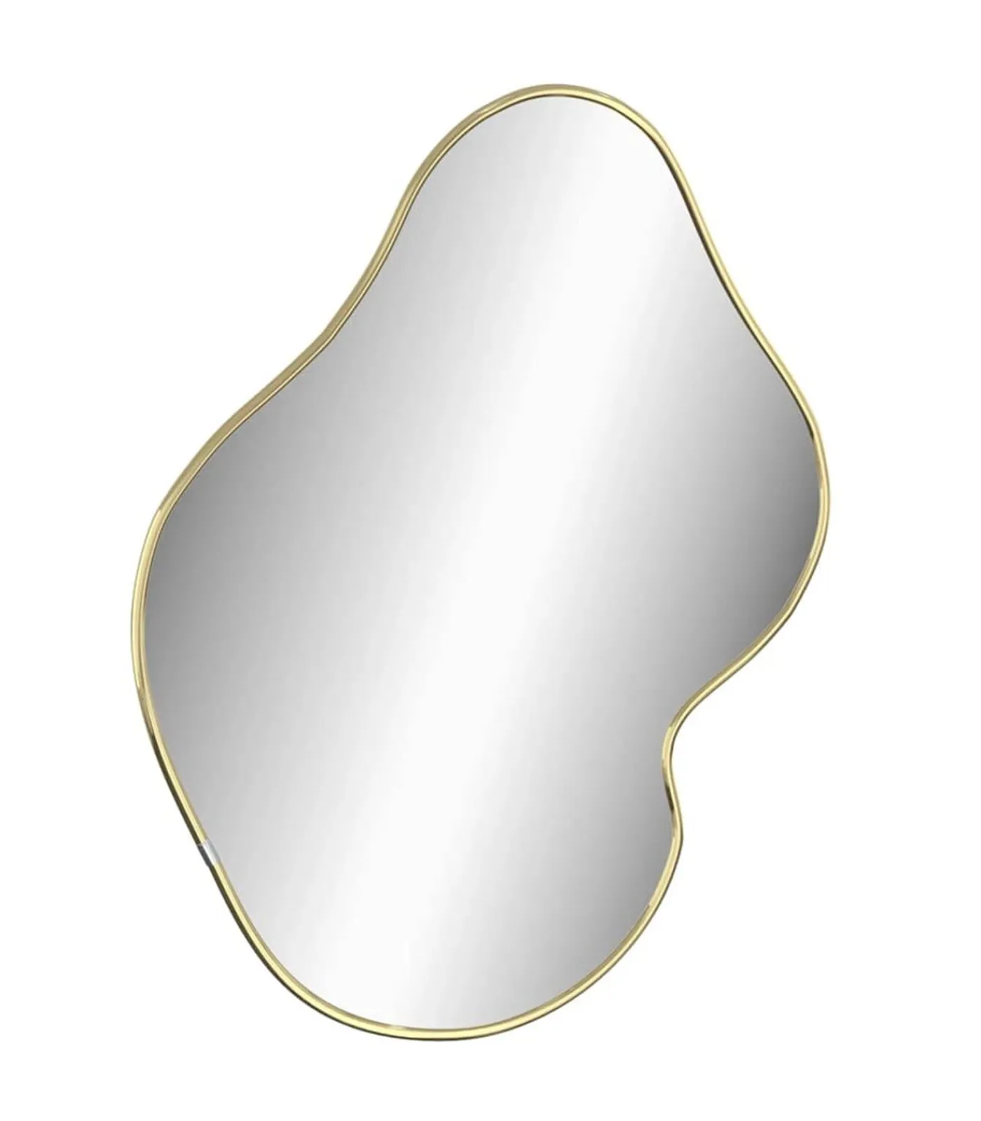 vidaXL Wandspiegel 60x50 cm goudkleurig