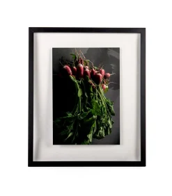 XLBoom WINDOW Fotokader 50x60