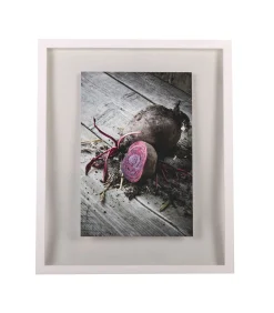 Sale WINDOW Fotokader 50x60 Fotolijsten