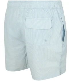 Heren Barbour Zwemshort Somerset Lichtblauw